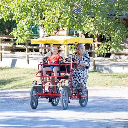 Mobil-home Pour 2 Pers., Animaux Admis - Api-1-52-2290 Dienné